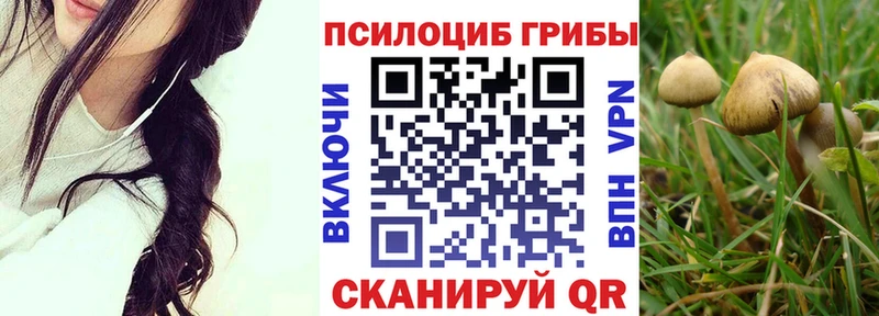 купить сайты Куртамыш omg онион Галлюциногенные грибы мухоморы